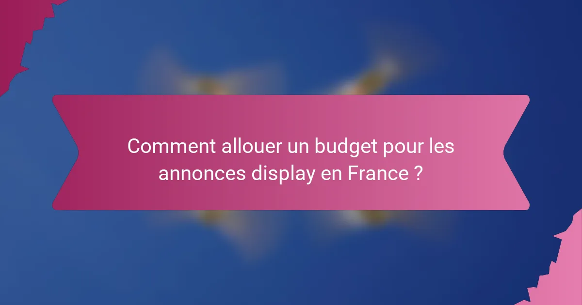 Comment allouer un budget pour les annonces display en France ?