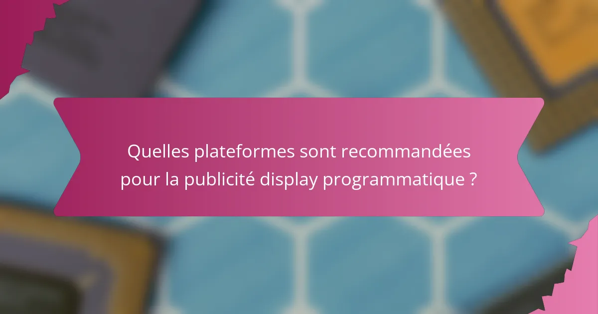 Quelles plateformes sont recommandées pour la publicité display programmatique ?