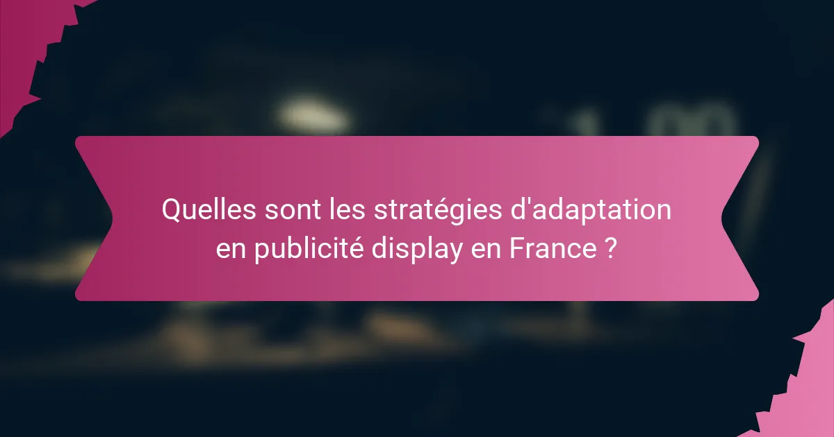 Quelles sont les stratégies d'adaptation en publicité display en France ?